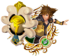 SN - Guardian Form Sora