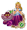 Alice & Cheshire Cat 5★ KHUX.png
