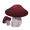 Forest Mushrooms