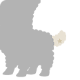 File:White Alpacastar-T-Tail.png